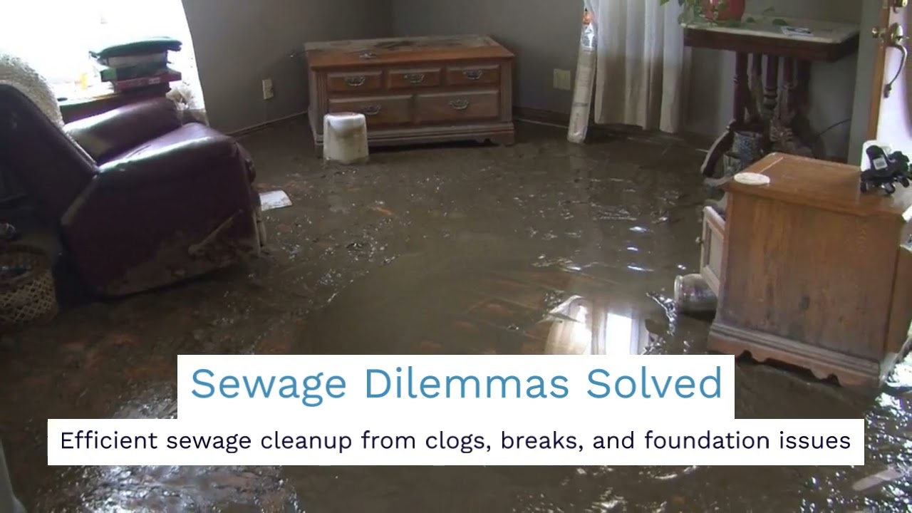 Water Damage, Mold, Sewage Cleanup The CleanUP Guys in Chicagoland Area 773 885 8528