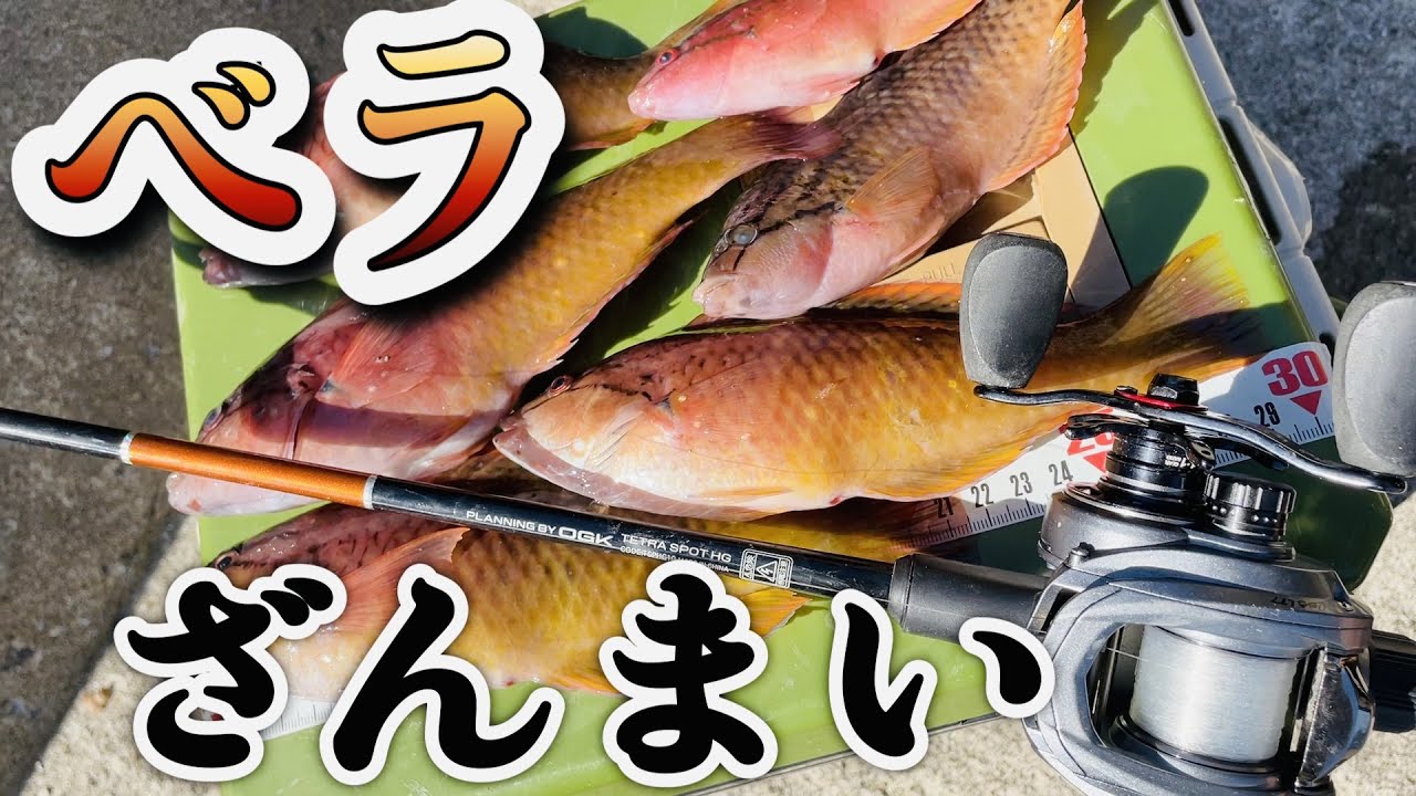 シンプルにベラを食べたい。【ベラ晩酌】