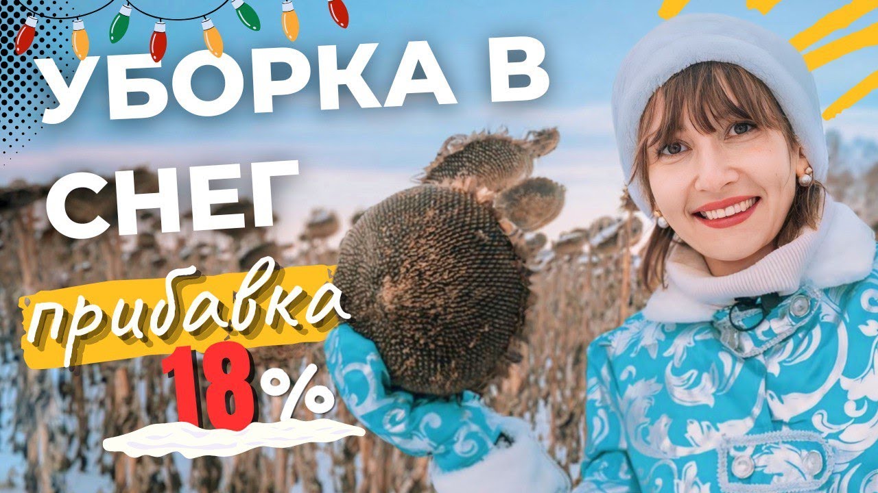 Подсолнечник, агродроны и уборка в снег — финальная серия сезона.