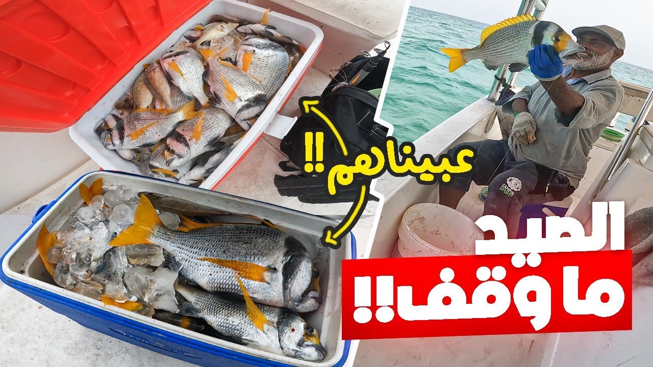 ارمي الطعم واستمتع بالسحب الصيد ما يوقف