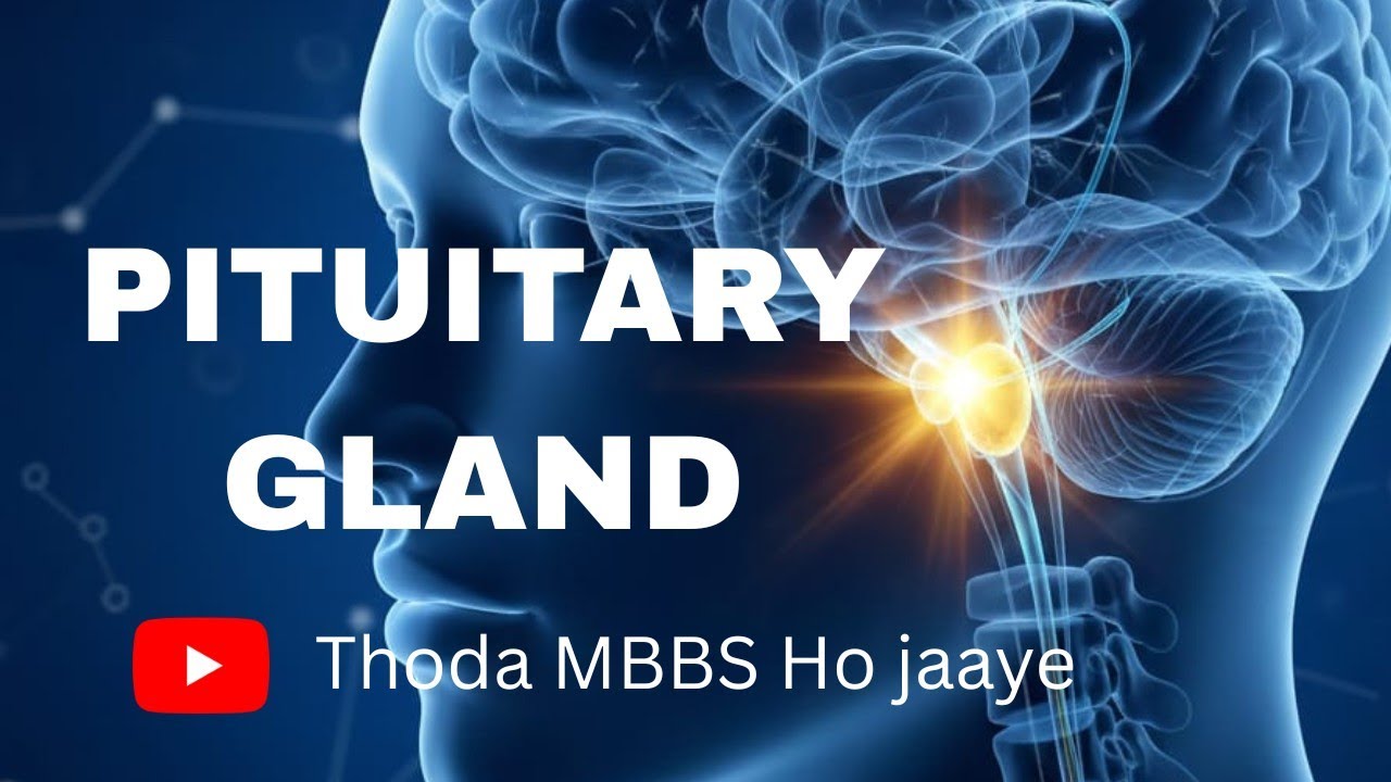 Basics of pituitary gland.(Anatomical features and hypothalamus hypophyseal axis)