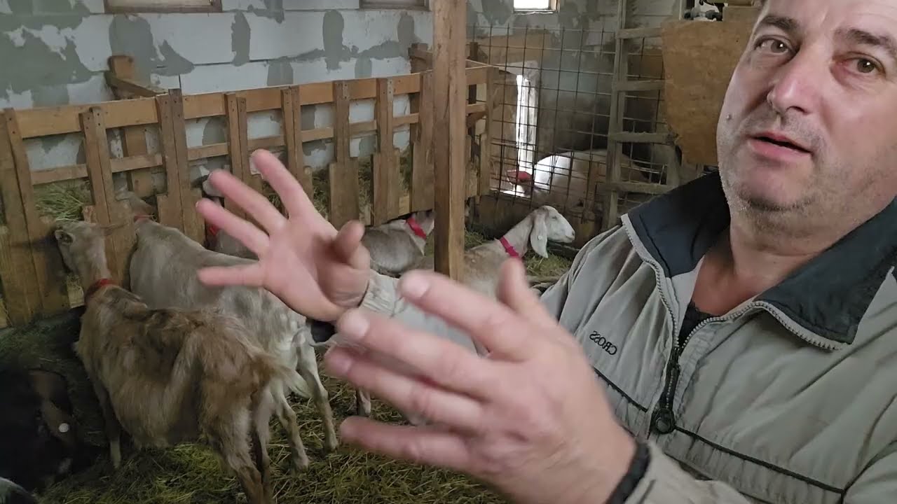 DEOCAMDATĂ STRES! AȘTEP ȘI BUCURIILE!!