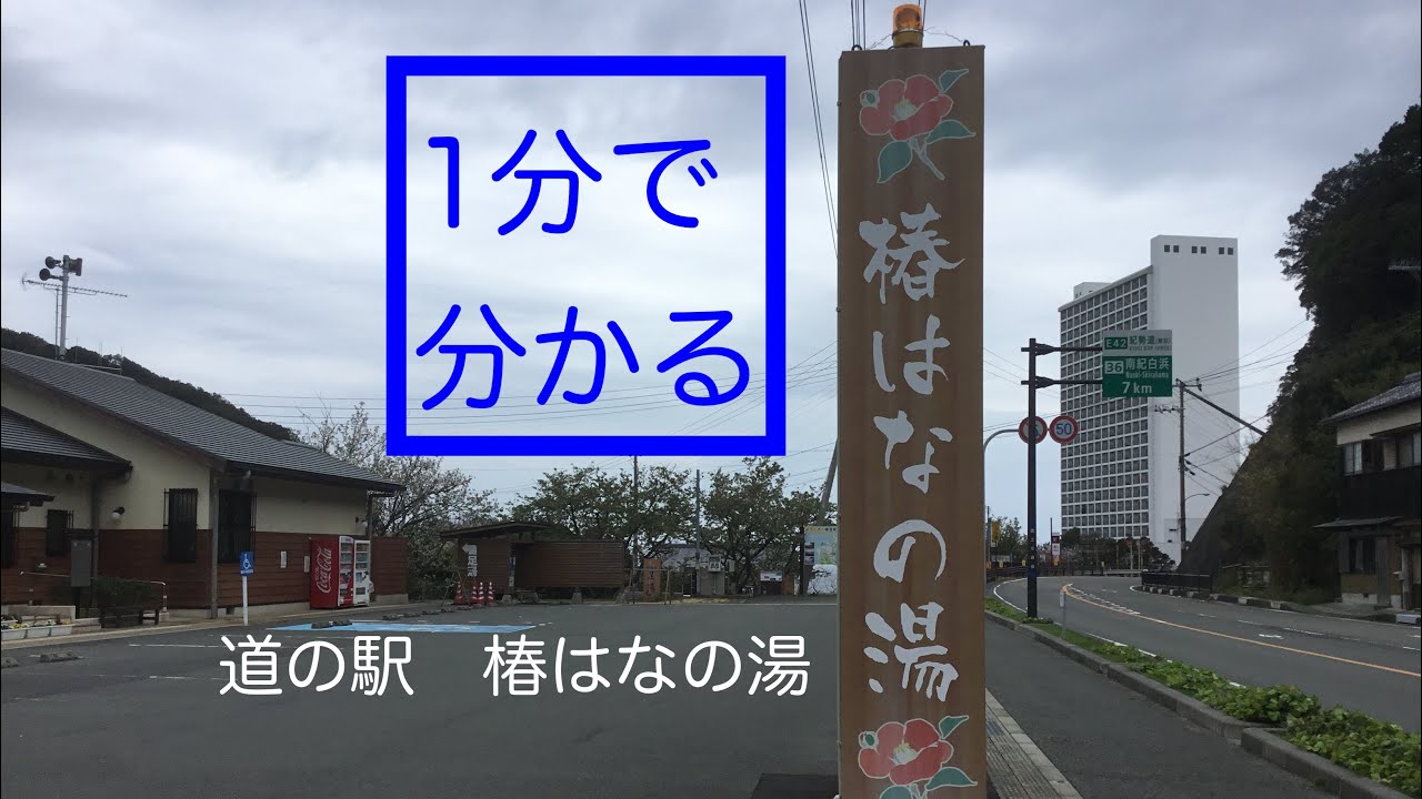 Aランク　道の駅　椿はなの湯　車中泊　和歌山県　白浜町1分で分かる　お風呂　温泉　買い物　野宿　無料キャンプ場　#208