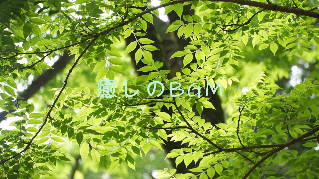 【癒しのBGM】｜ハープ｜癒し｜BGM｜ 作業用BGM ｜リラックス ｜睡眠｜