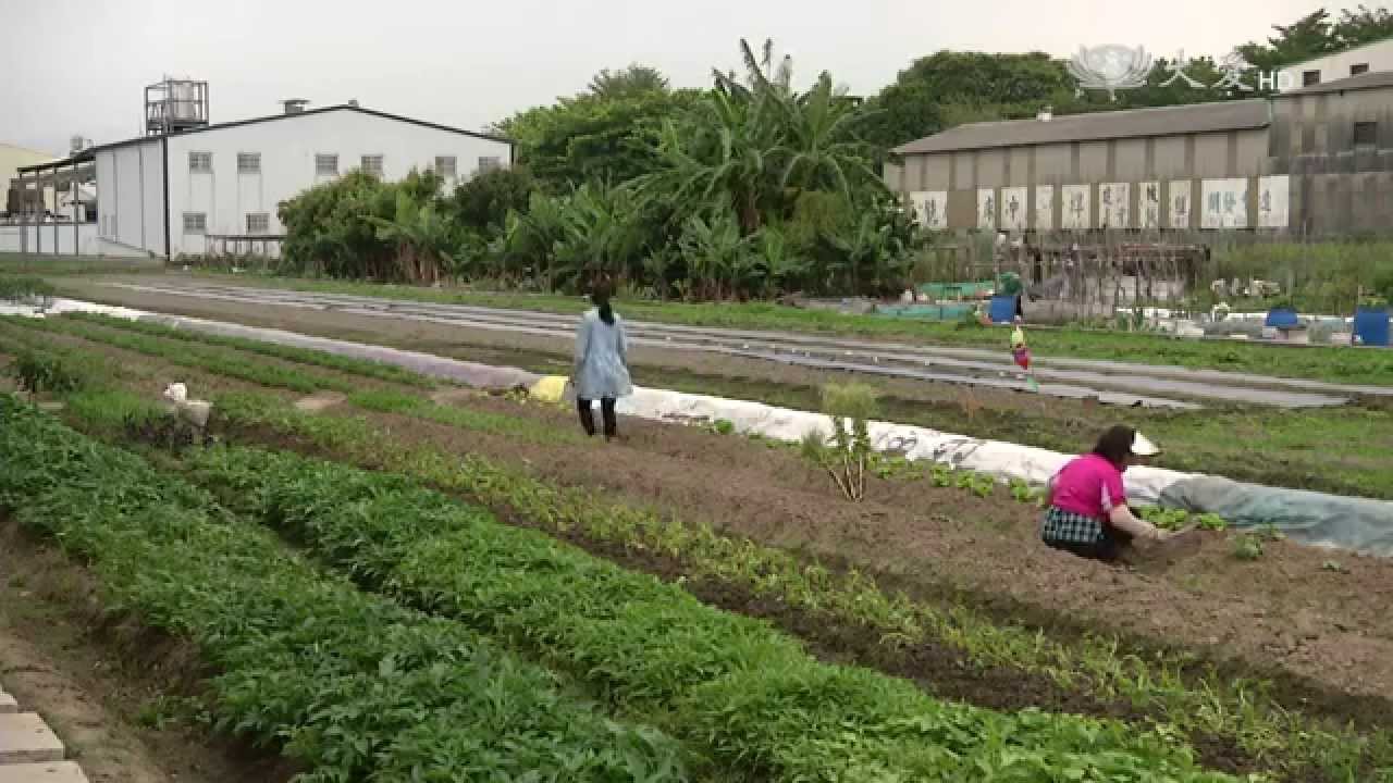 【農夫與他的田】20150518 - 一抹微笑希望相連