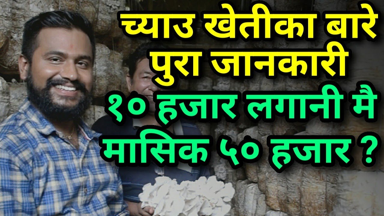 How to Start Mushroom Farming Business in Nepal/च्याउ खेती गर्ने तरिका