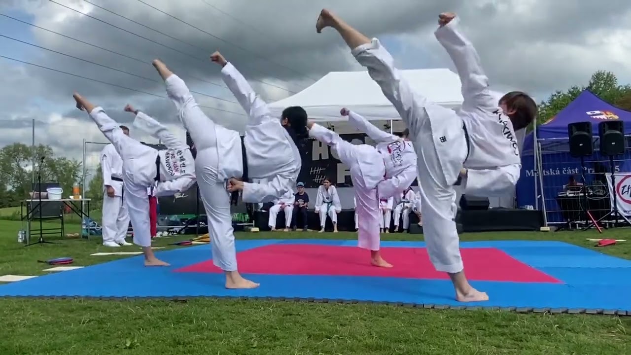 HOSTIVAR FEST 2023 - EXIBICE WORLD TAEKWONDO - Taehan