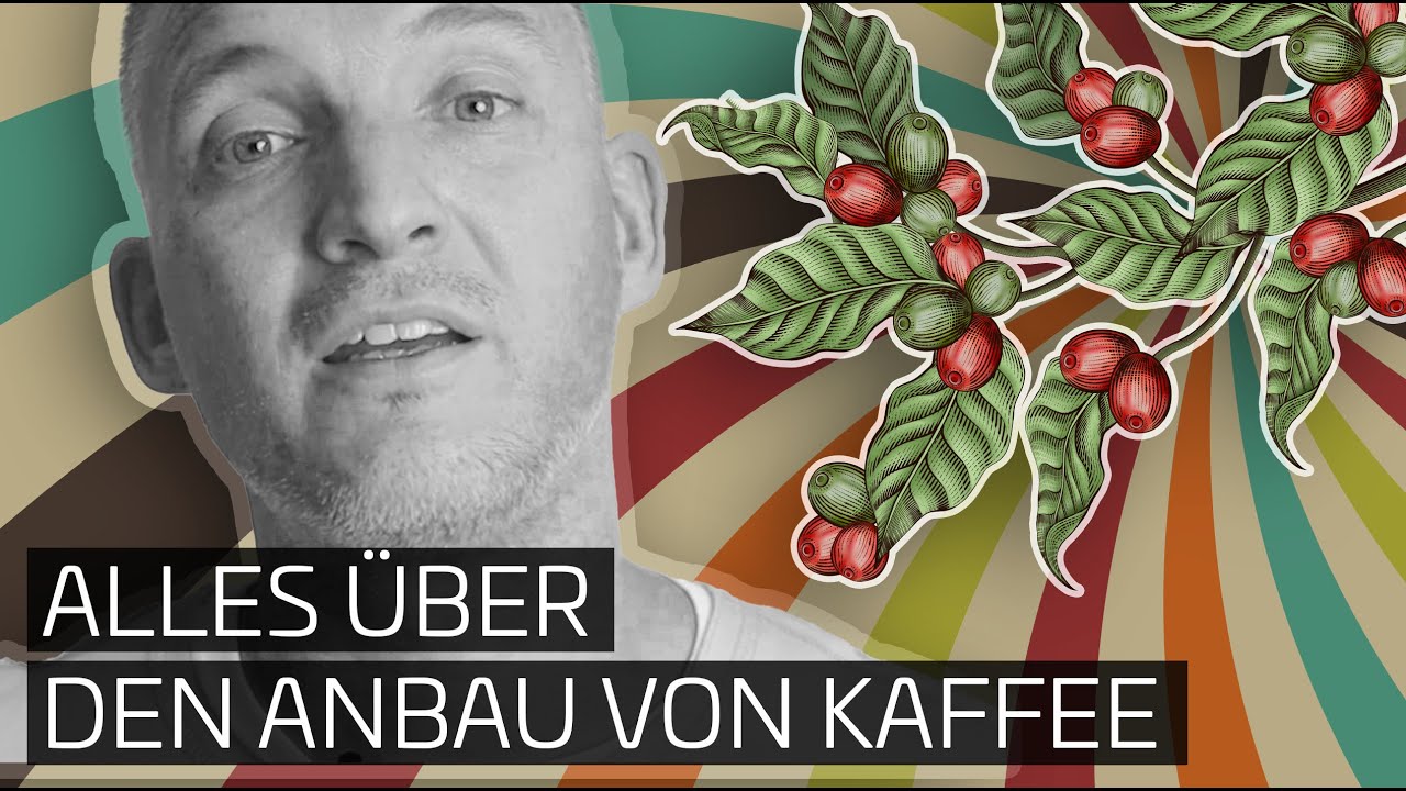 Das ist Kaffee. | 01 - Alles über den Anbau von Kaffee
