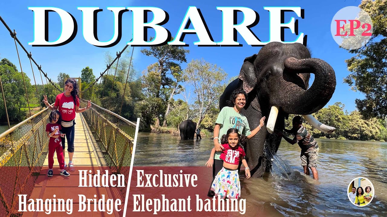 All you need to know for Exclusive elephants bathing & Feeding at Dubare elephant camp  | EP2
