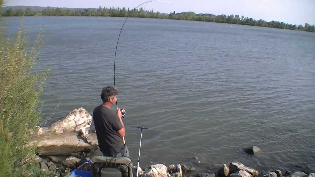 Essai et test canne Fox Warrior  Barbel 12' 1.75 lbs.