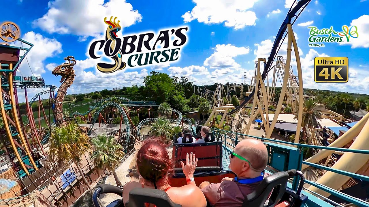 Cobra's Curse Roller Coaster Normal and Horizon Locked 4K POV Busch Gardens Tampa 2021 06 12