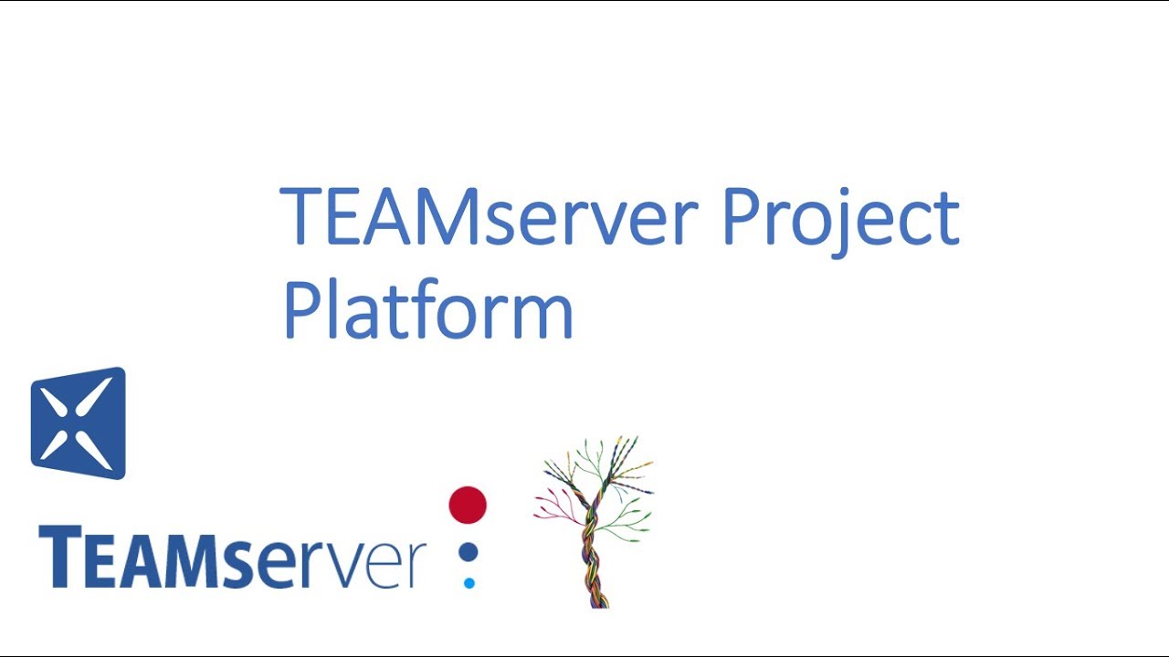 TEAMserver - Project Platform