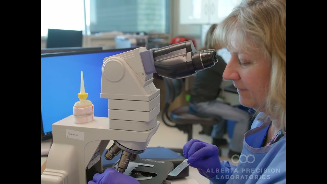 Careers with Alberta Precision Laboratories &ndash; National Medical Laboratory Week