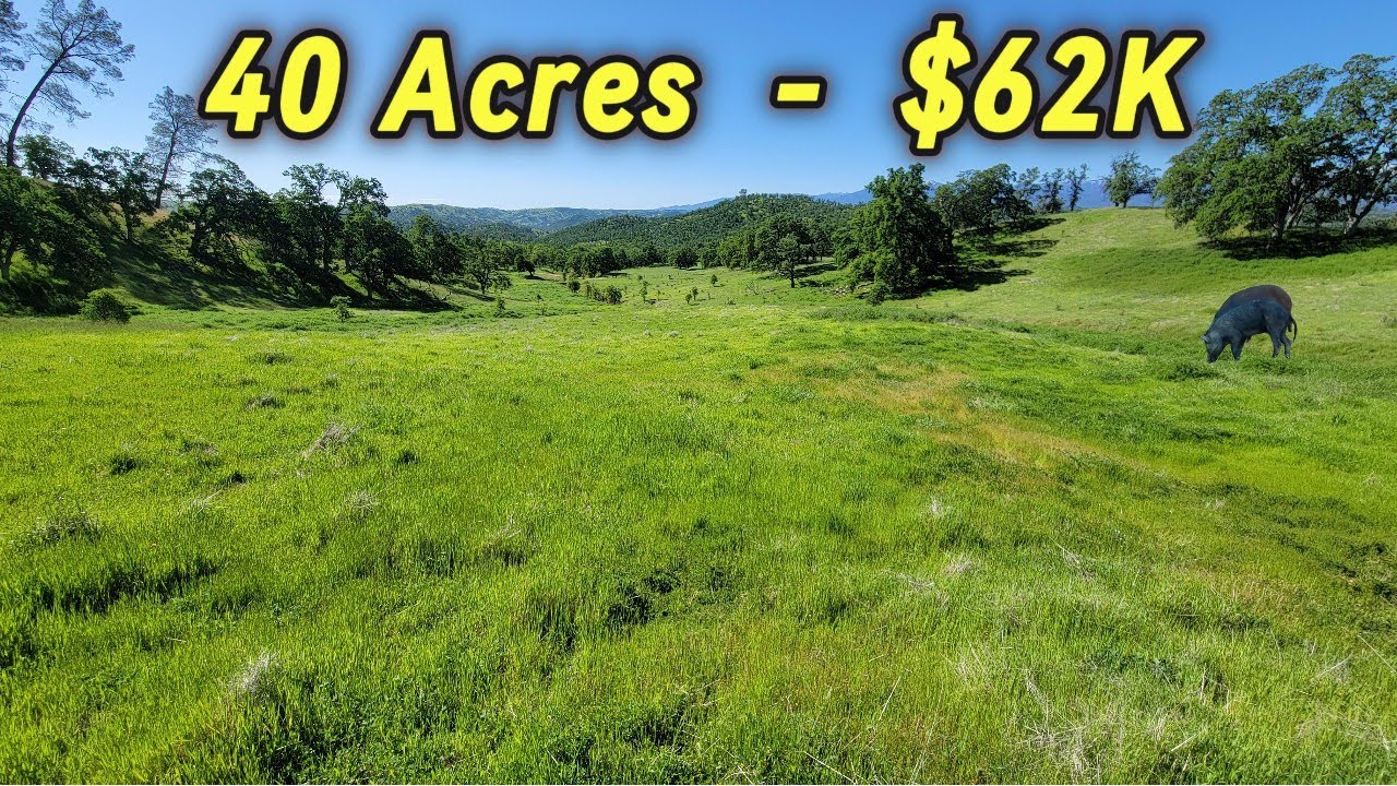 Land Acreage For Sale In California - Hunting, Seller Carry Property