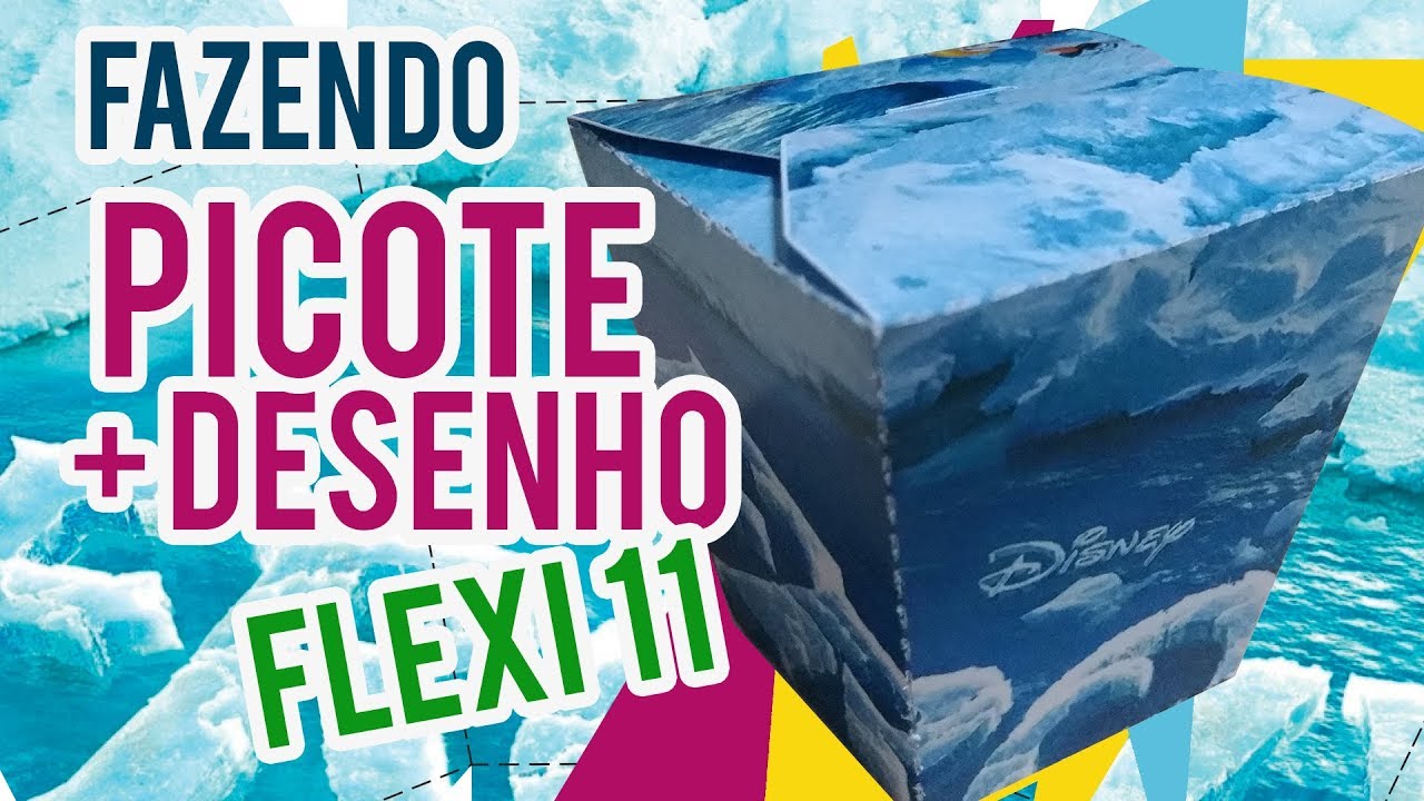 FLEXI 11 RECORTE PLOTTER COM PICOTE + DESENHO