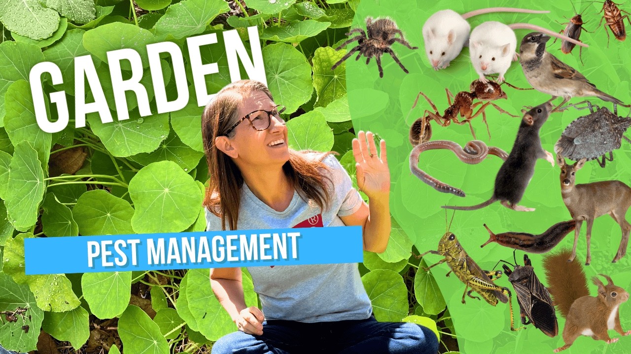 Garden Bugs Are Horrible... Until I Learned THIS