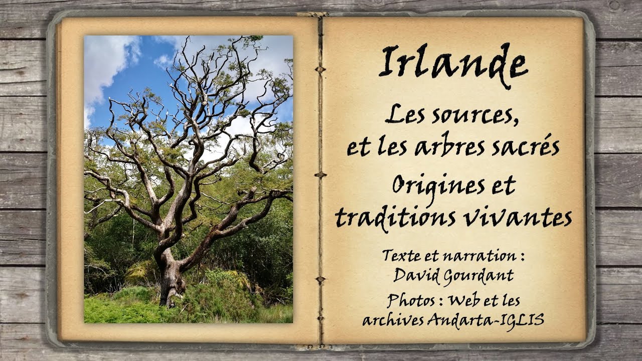 Sources et arbres sacr&eacute;s d'Irlande