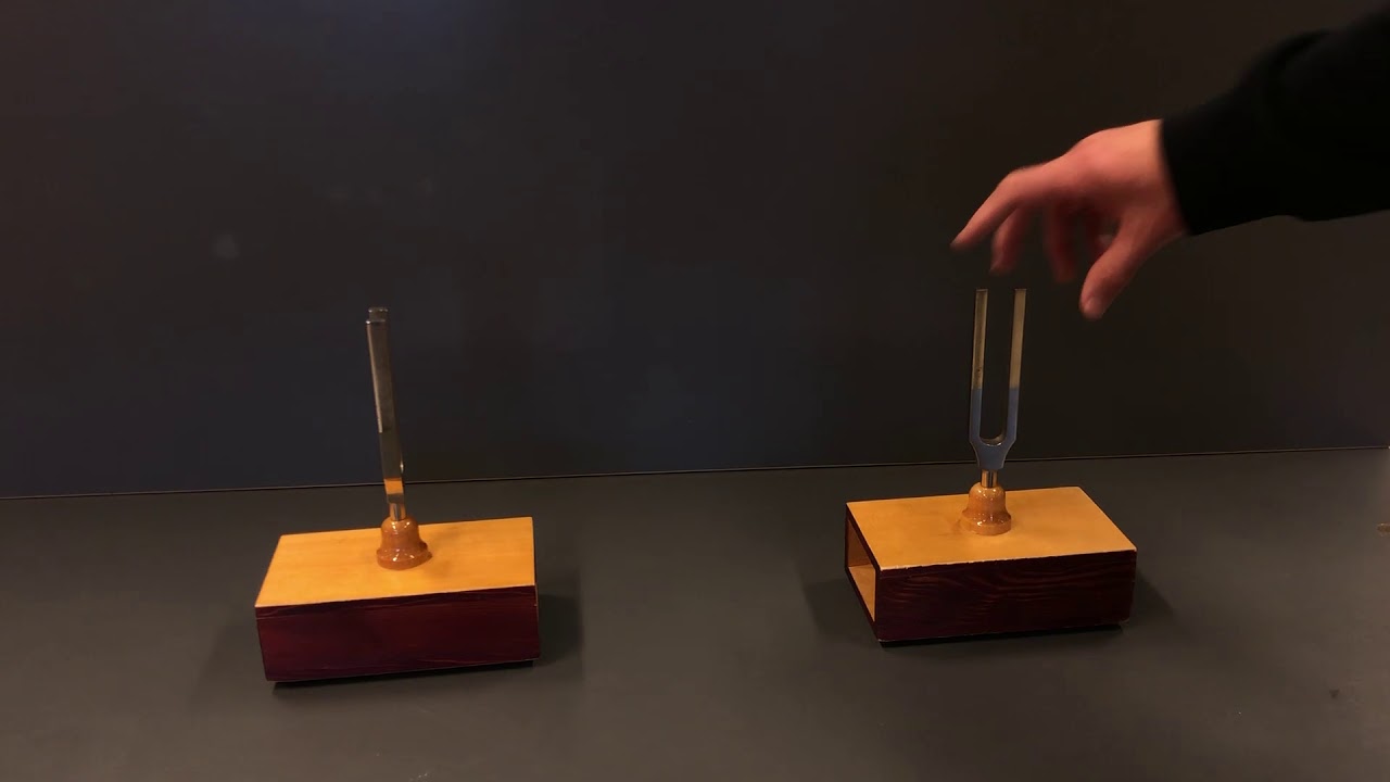 FY7 - resonance tuning fork 440Hz 440Hz