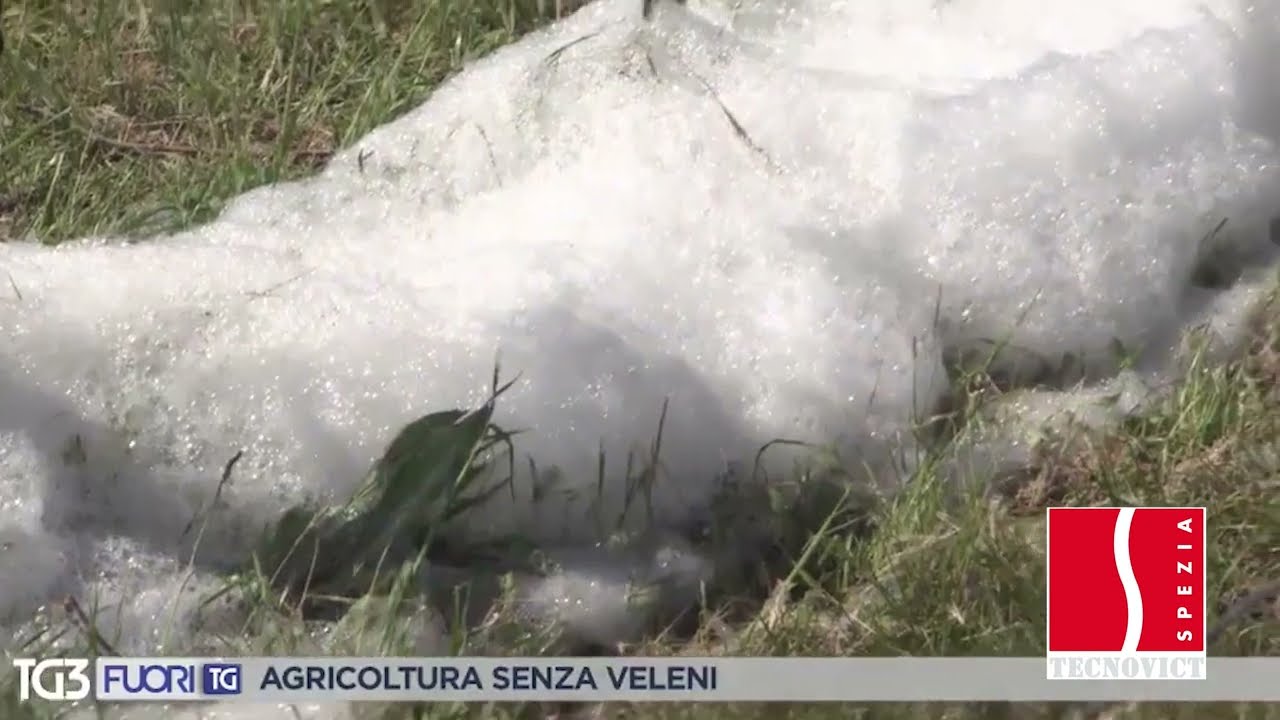 CONTROLLO DELLE ERBE INFESTANTI CON LO SCHIUMONE