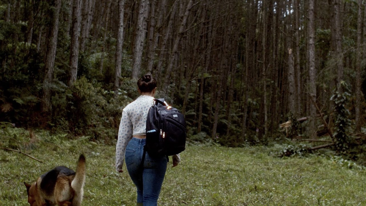 O que acontece quando você passa um dia inteiro sozinha na floresta | hiking vlog