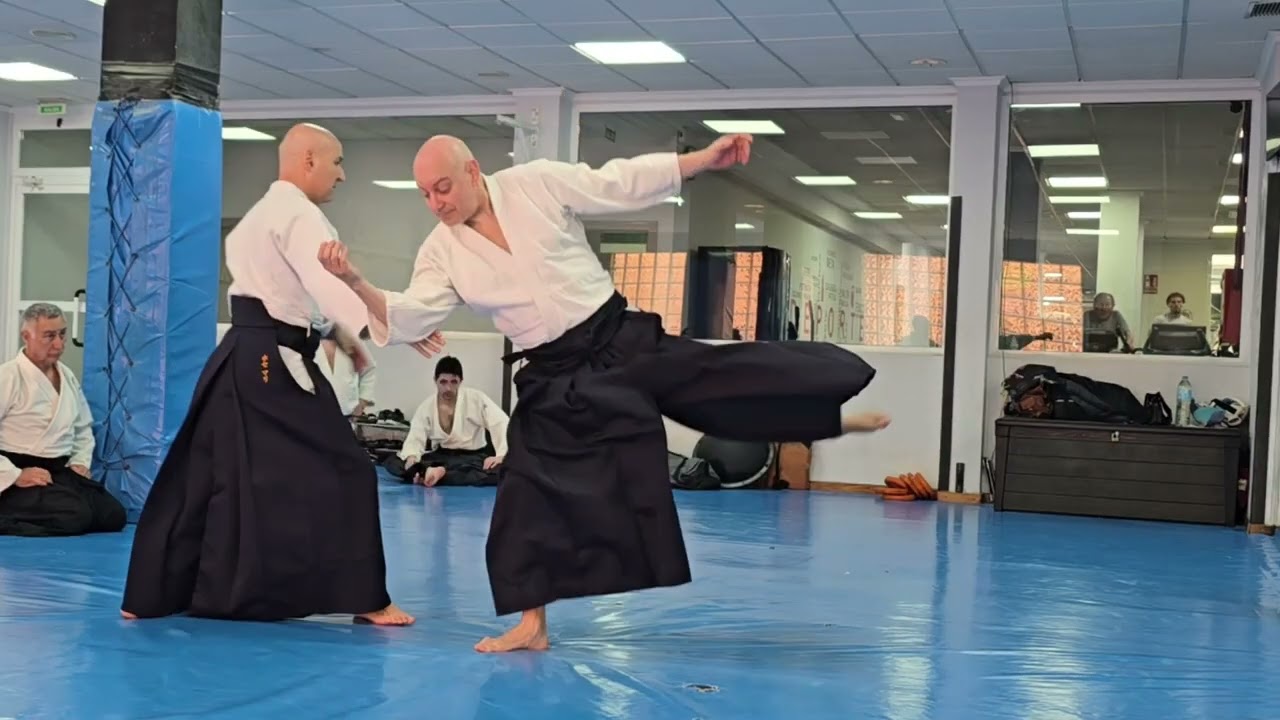 Aikido Sevilleja: Katate y Ryote Dori Shiho Nage, Irimi Nage, Kote Gaeshi.