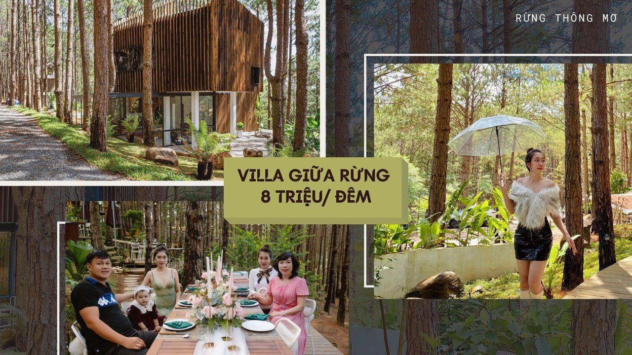 VILLA RỪNG THÔNG MƠ || Đón sinh nhật anh hai tại villa giữa rừng Đà Lạt.