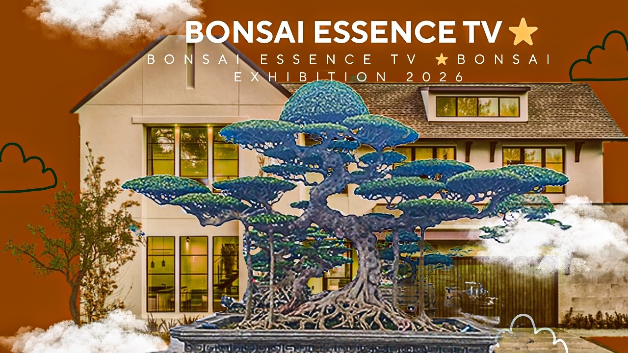 [Overwhelming] - A 150-year-old banyan tree with an extremely powerful aura.