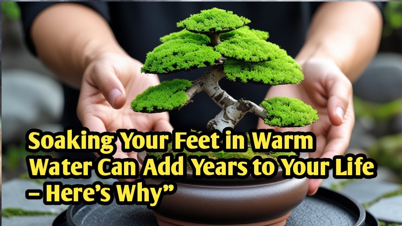 &ldquo;Soaking Your Feet in Warm Water Can Add Years to Your Life &ndash; Here&rsquo;s Why&rdquo;