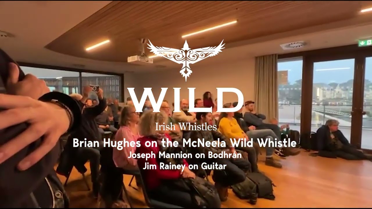 Brian Hughes Live in Brittany | Wild Whistle Tune Set from When the Wind Blows Wild