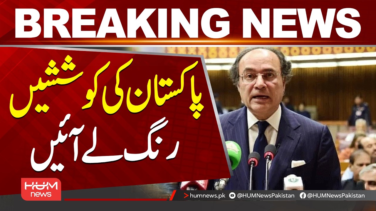 Pakistan&rsquo;s Global Efforts Pay Off | Muhammad Aurangzeb&rsquo;s Big Statement| Hum News | Pakistan