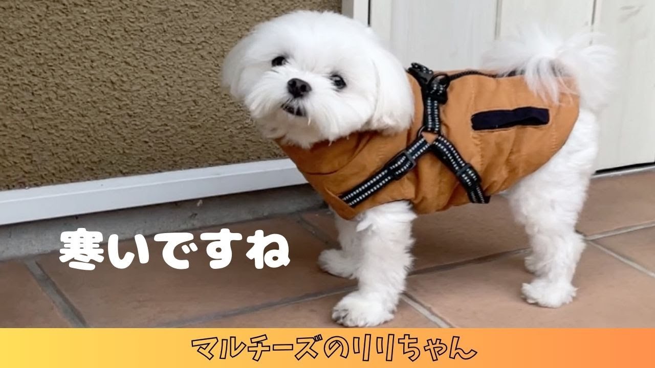 寒くなってきましたね