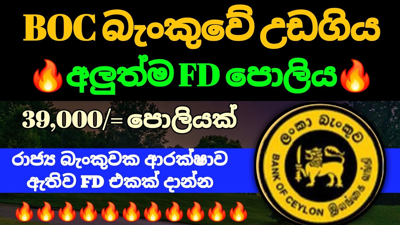 BOC Bank New Fd Rates : Fixed Deposit Rates in Sri lanka 2026 | 100 days investment plan