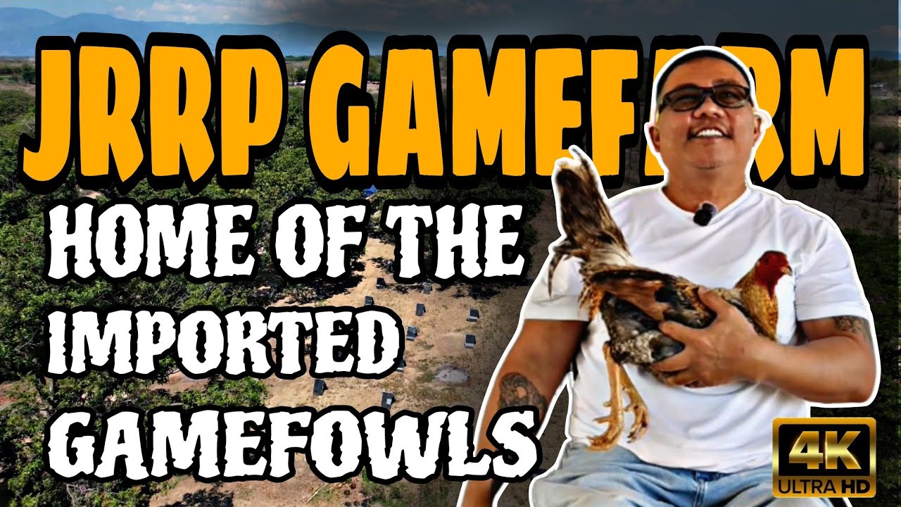 HOME OF THE IMPORTED GAMEFOWL