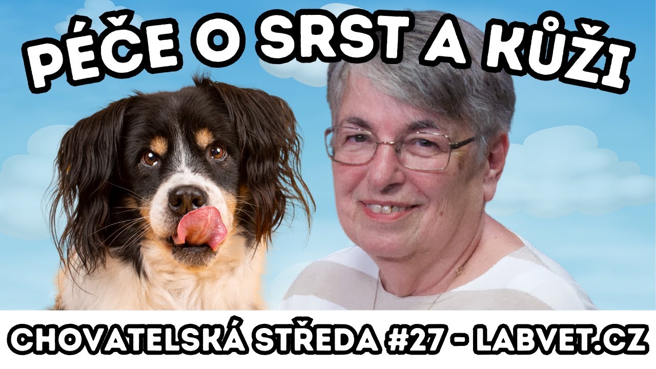 🐩 Péče o SRST a KŮŽI 🐩 | Chovatelská středa #27