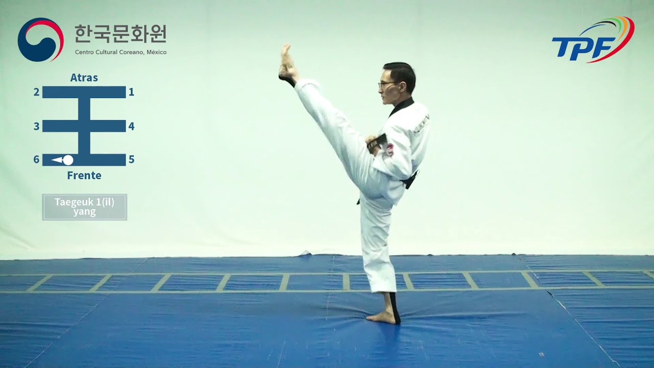 Taekwondo Online: Clase 8, las formas