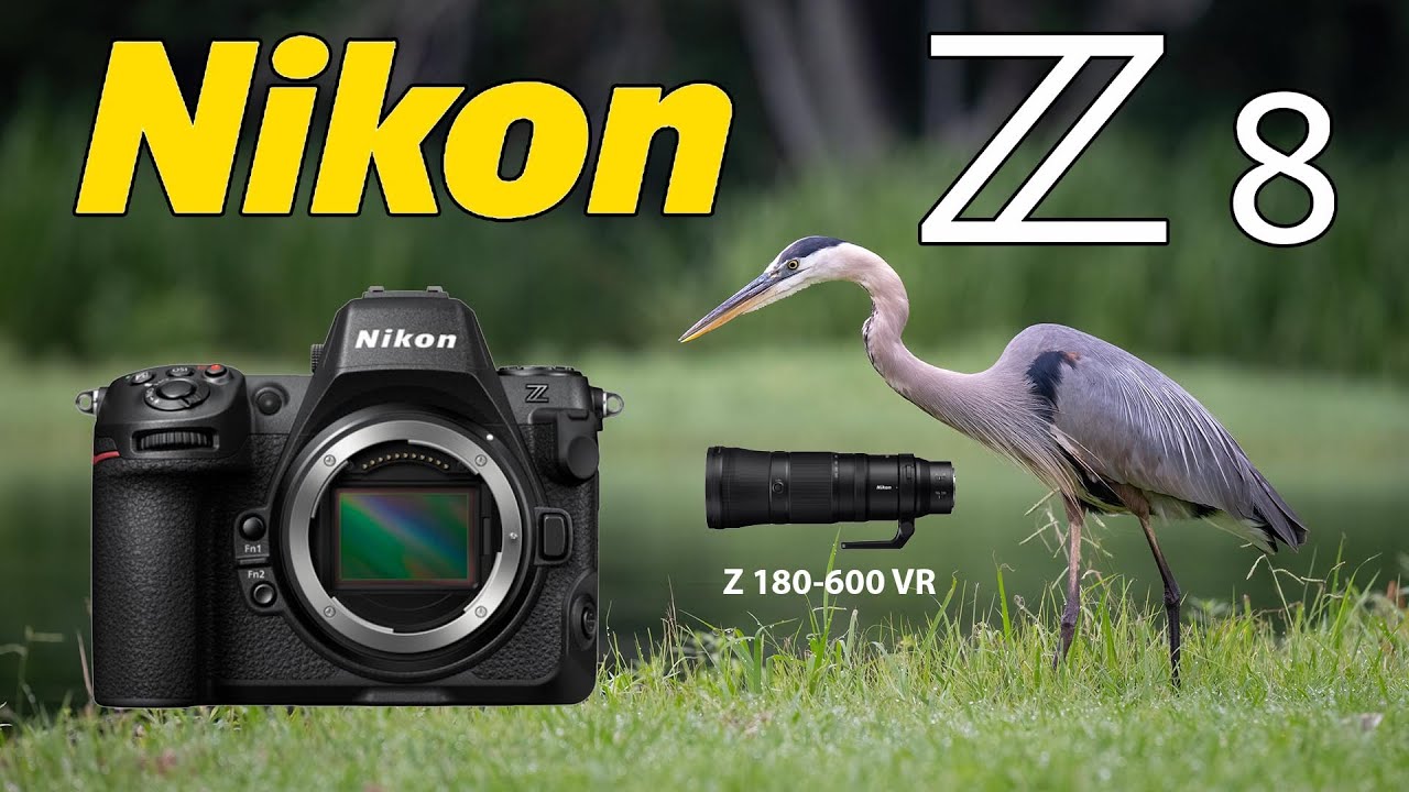 Nikon Z8 Bird Photography 180-600mm Lens