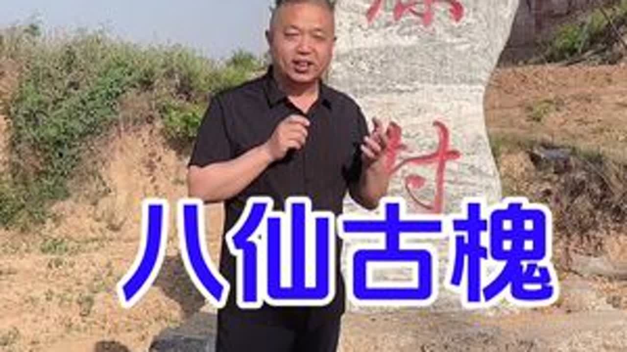 长治有颗八仙大槐树#长治 #大槐树