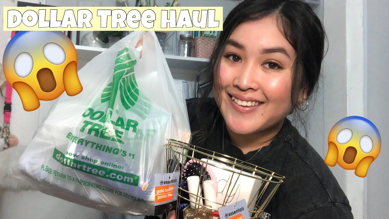 Huge Dollar Tree Haul