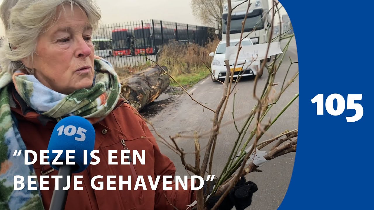 Gratis boompjes in de Waarderpolder: &lsquo;Ik zie graag meer groen' | Haarlem105