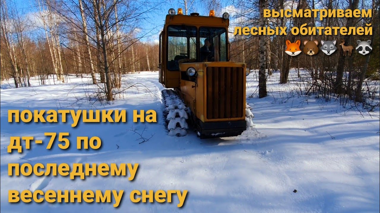 Покатушки на дт 75 по последнему снегу. Весна 2021.