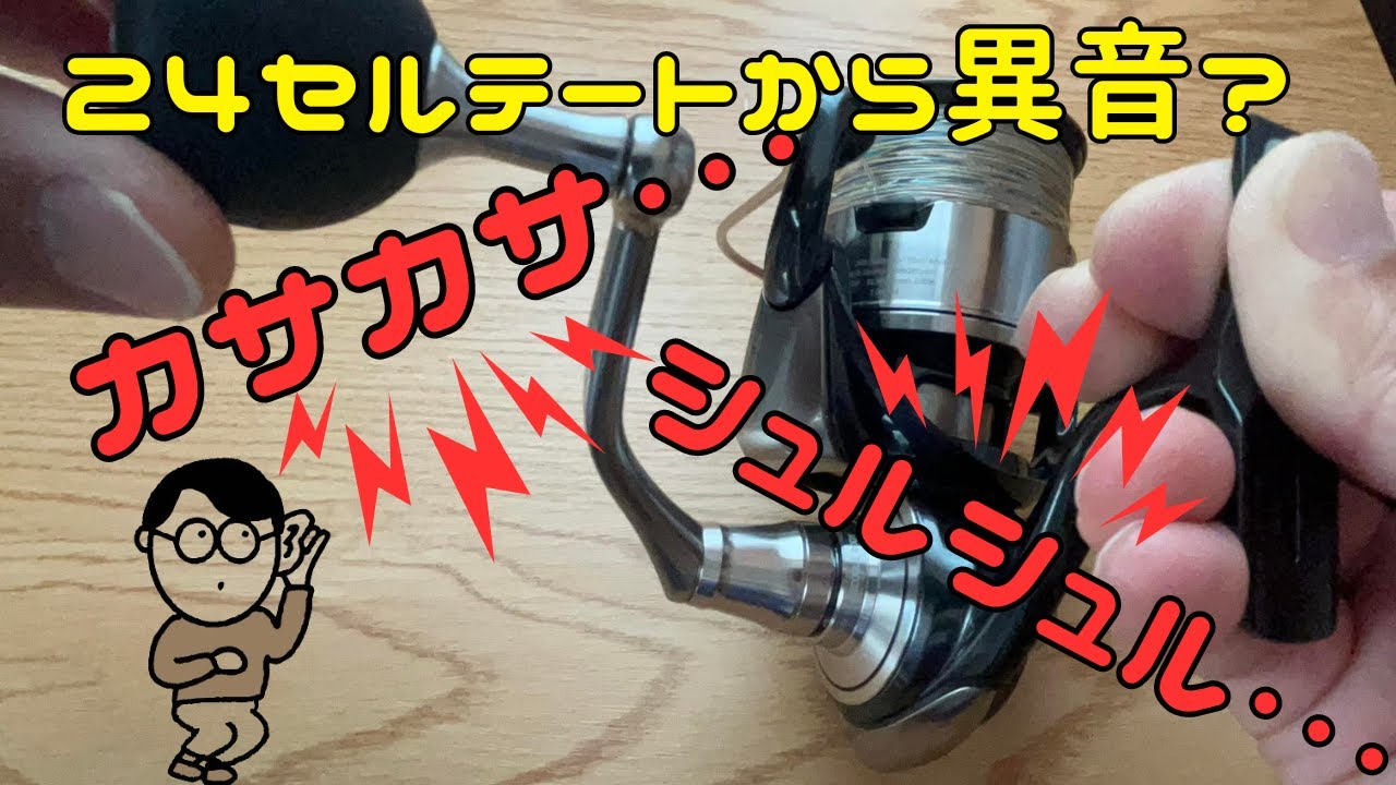 24セルテートのインプレ！異音？カサカサ音、シュルシュル音がする？