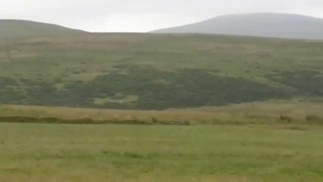 Cold Fell Festival of Hounds Trail - July 2014