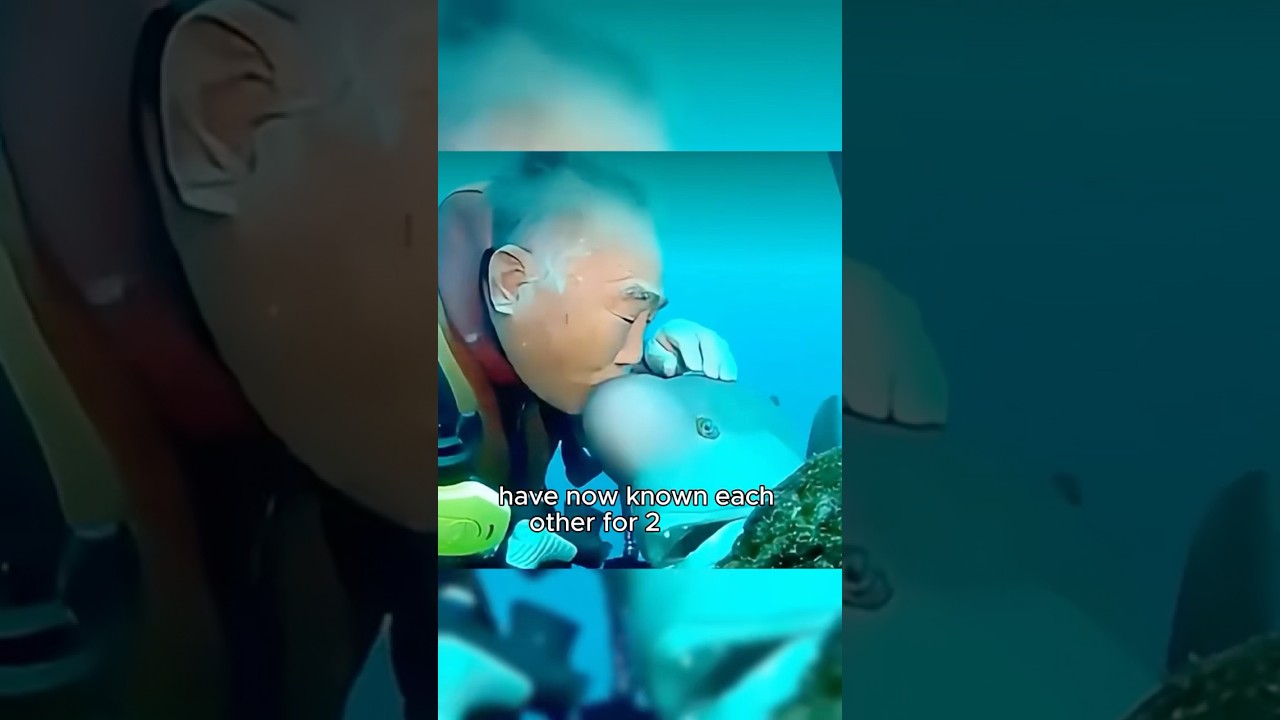 The bond between them transcends human and animal. #healing #animals #fish #feel #shortvideo