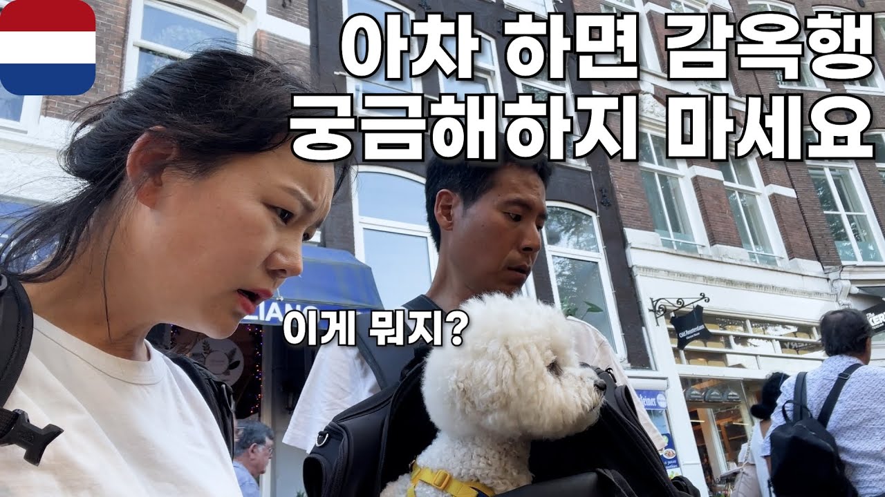 🇳🇱 호기심에 손댔다가는 인생 나락 암스테르담 구경 강아지 유럽 여행 유라시아 횡단 내차타고 세계여행 [083]