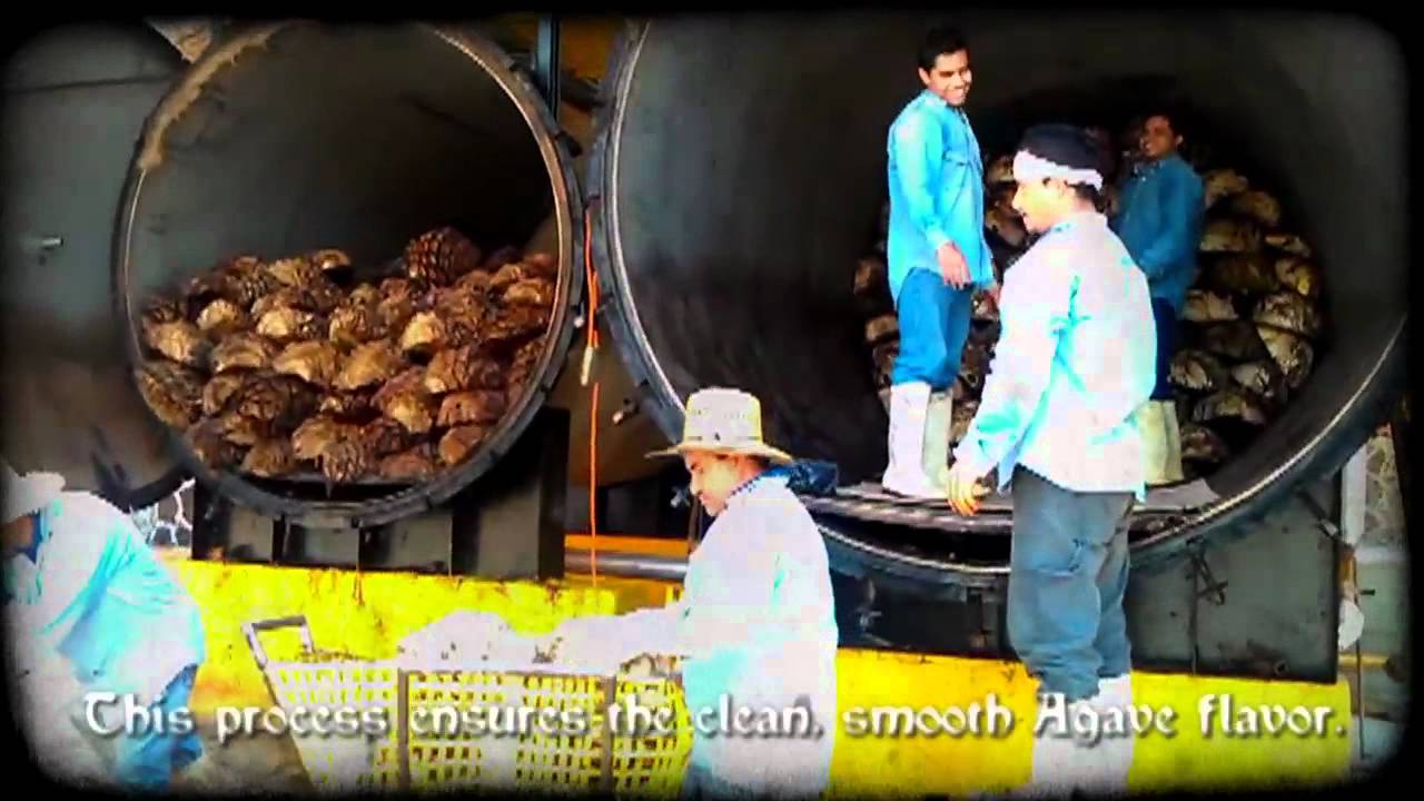 The PROCESS of Creating AGAVE UNDERGROUND