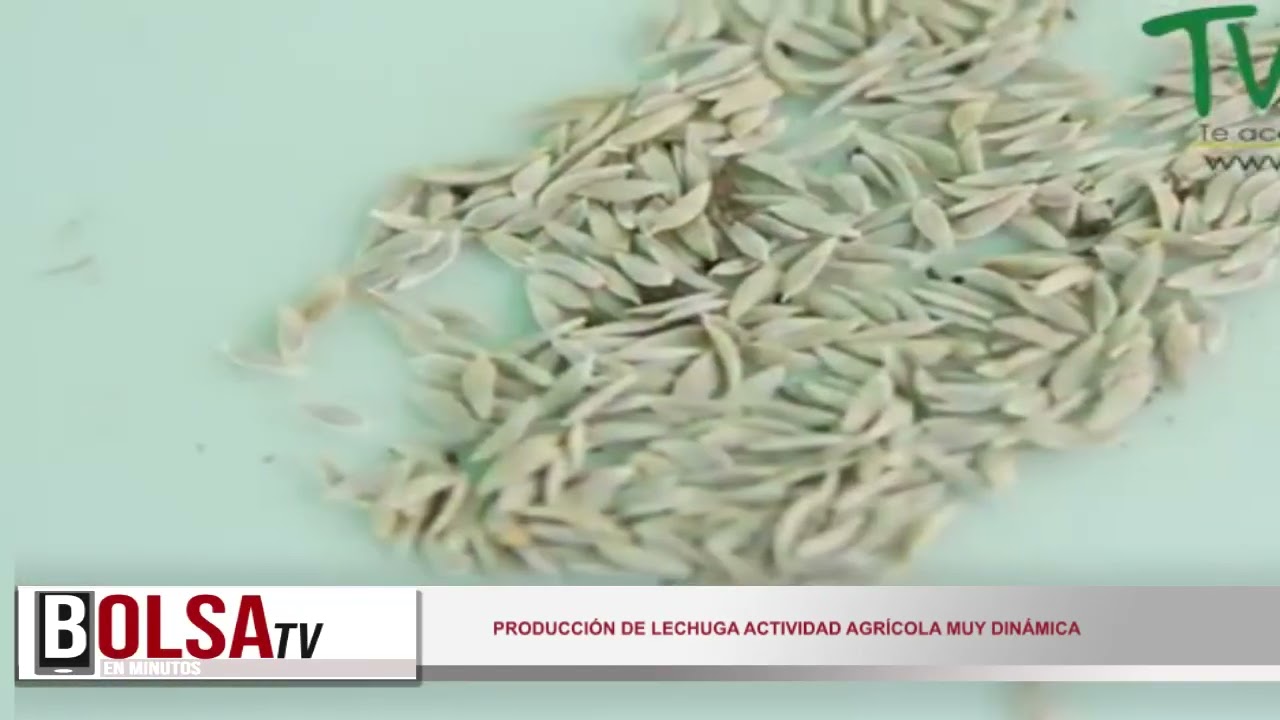 BOLSA TV JUEVES 22 DE ENERO 2026