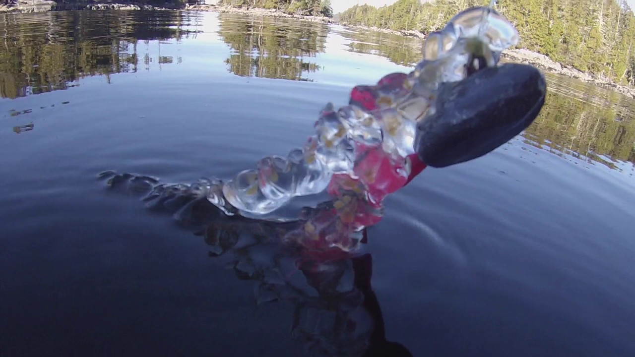salps and such