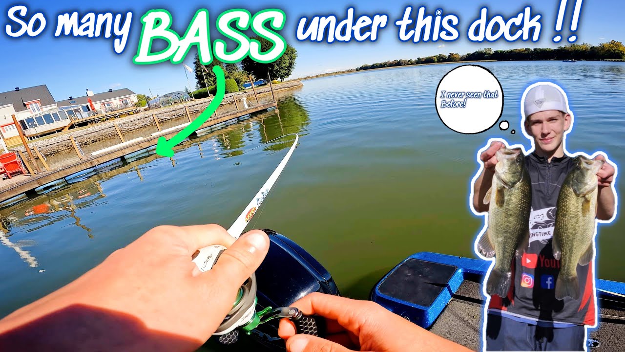 We found THE largemouth bass SPOT! (Bassfishing/tournament/richelieu river)
