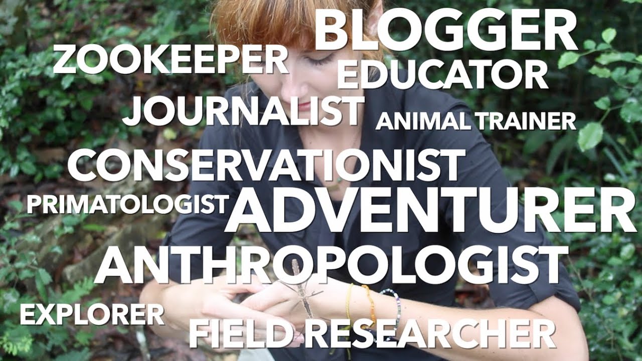 Wildlife Presenter Reel - 2016 - Sarah Bell, MSc