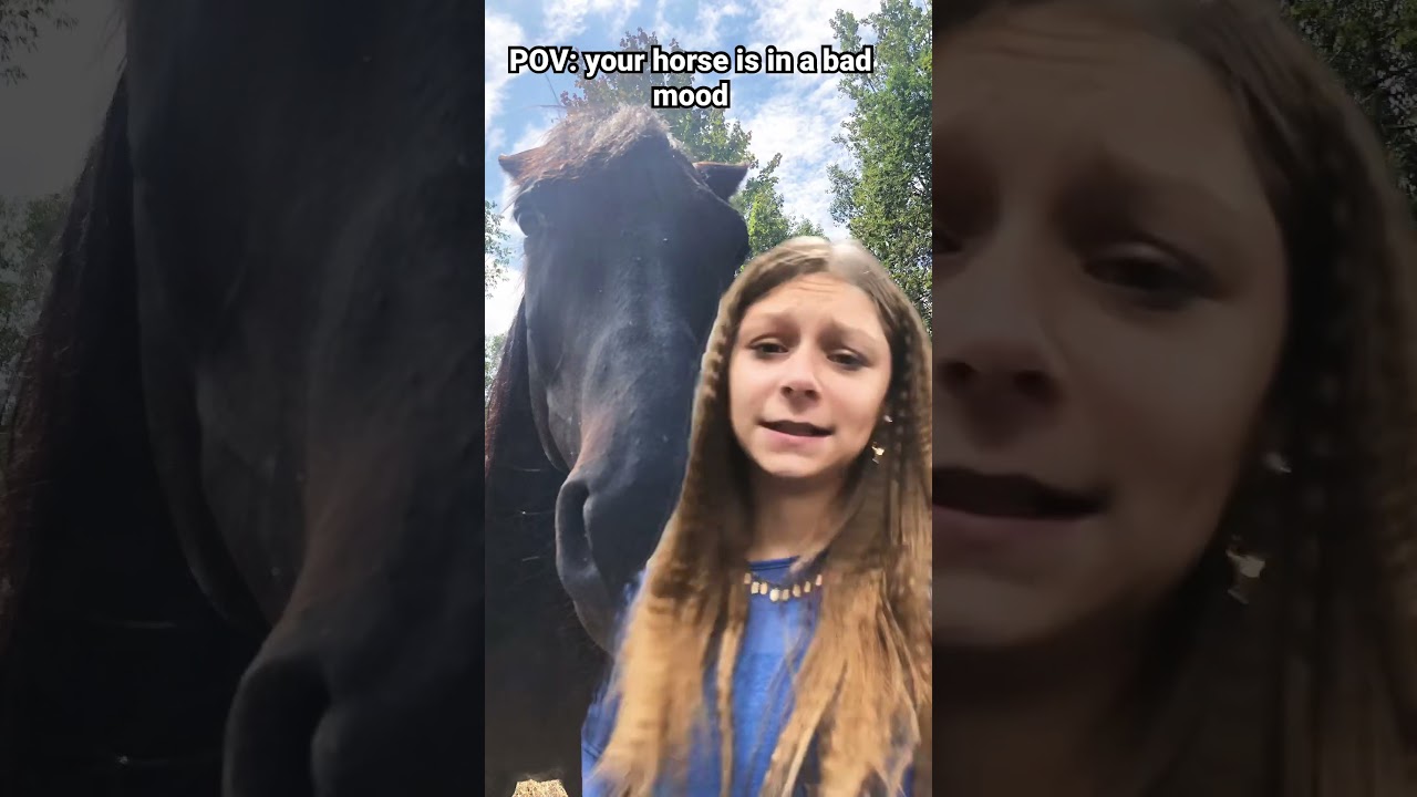 Your horse is in a bad mood